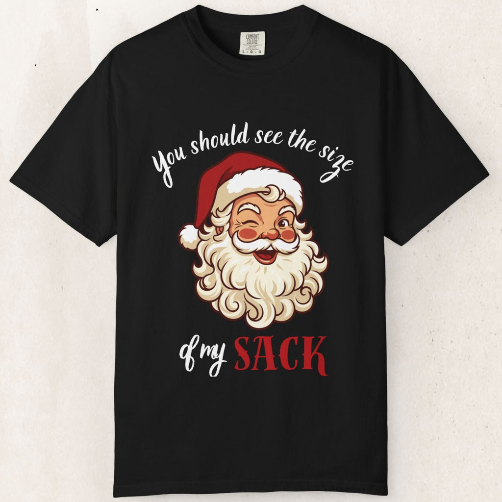 Santa 'You Should See the Size of My Sack' Christmas Tee Printify