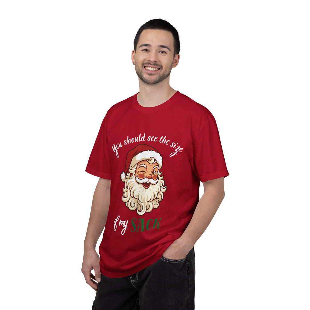Santa 'You Should See the Size of My Sack' Christmas Tee Printify