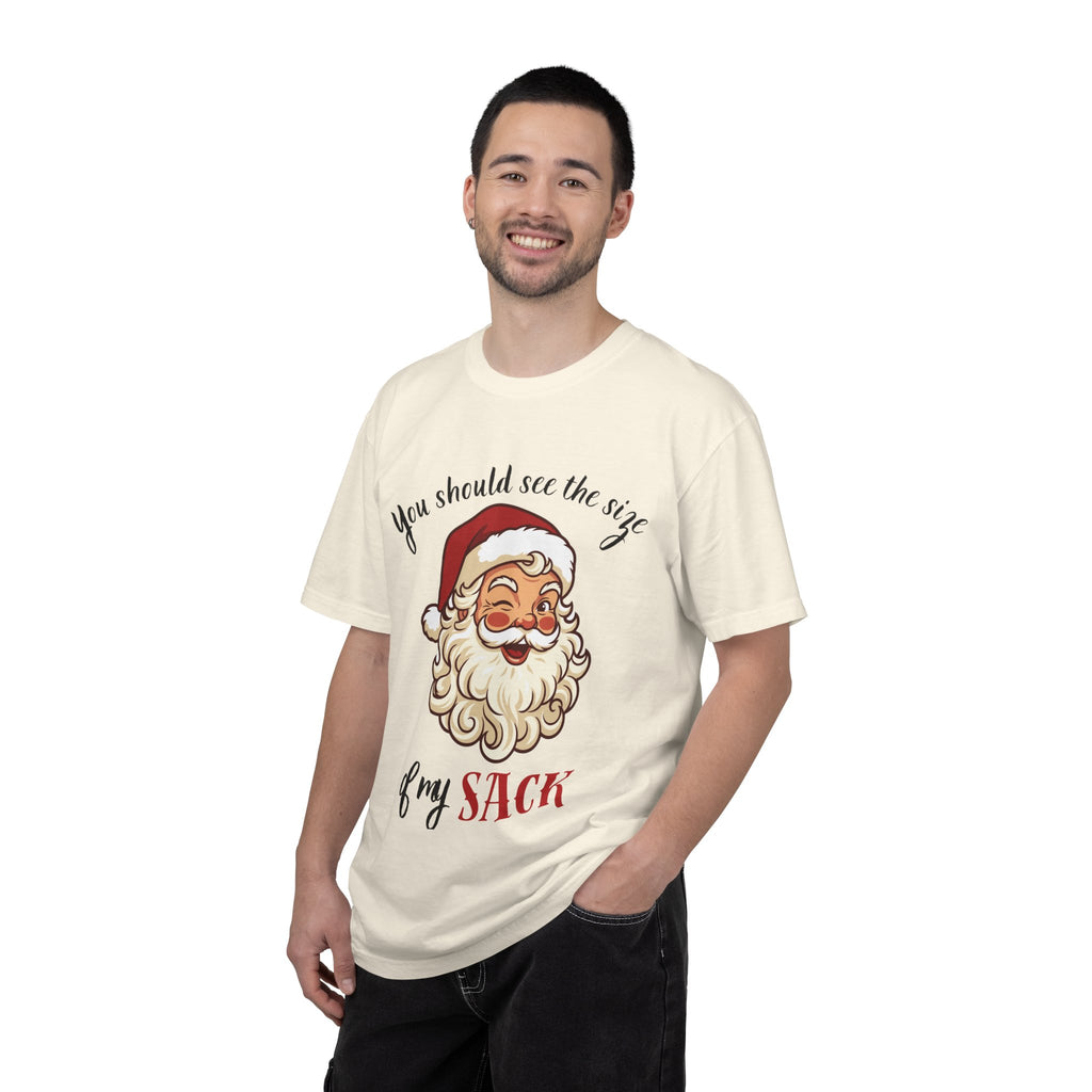 Santa 'You Should See the Size of My Sack' Christmas Tee Printify