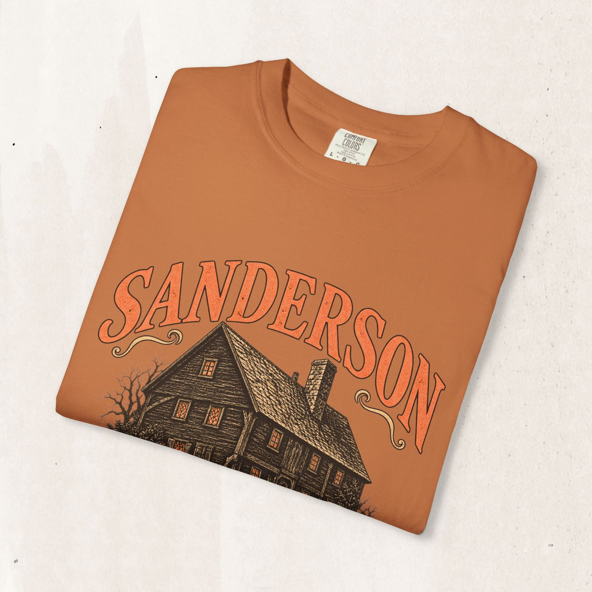 Wicked Thread Society Sanderson Bed & Breakfast heavyweight cotton tee in burnt orange with vintage house graphic.